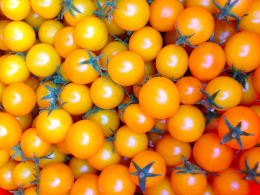 the Ledson's Family CSA Farm Cherry Tomatoes