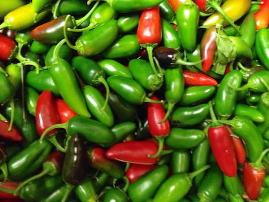 the Ledson's Family CSA Farm Peppers